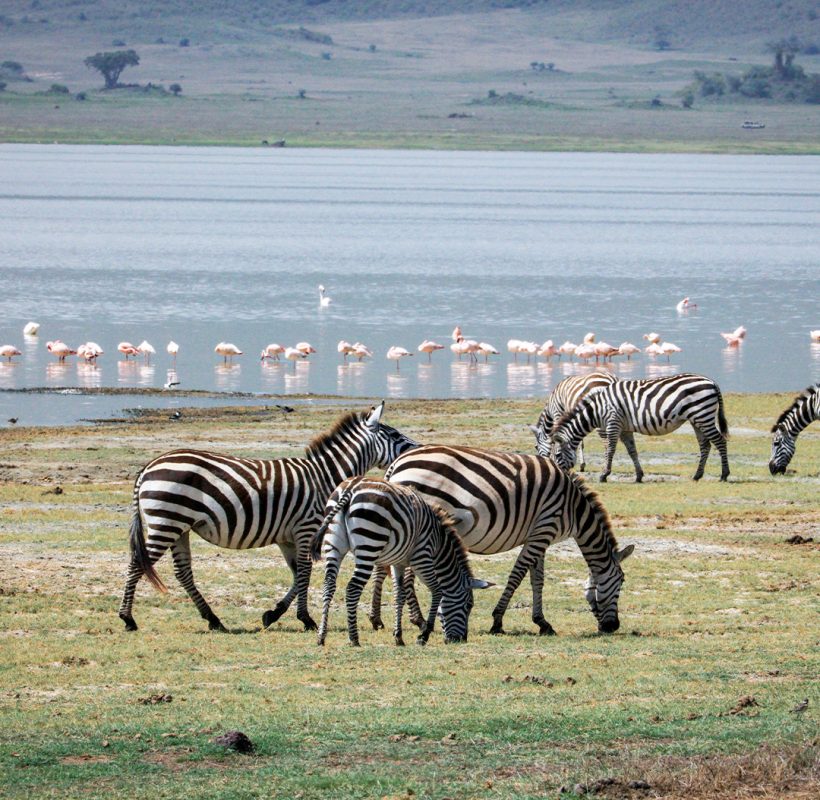 lake_manyara