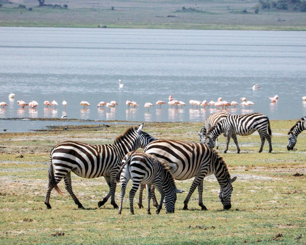 lake_manyara